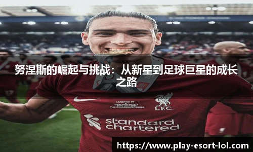 努涅斯的崛起与挑战：从新星到足球巨星的成长之路