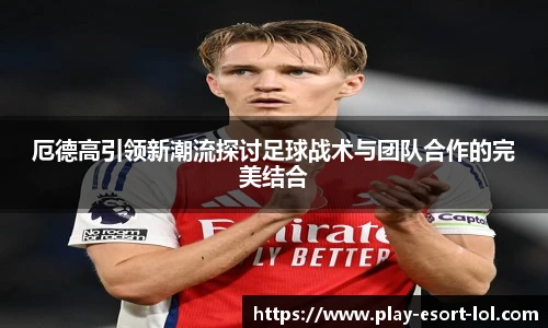 LOL押注正规平台